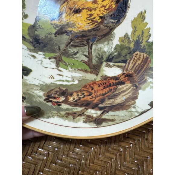 Vintage Retired William Sonama Ceramoc Rooster Pasta Bowl Made In Italy - Picture 3 of 10